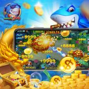 Xbet365.com br
